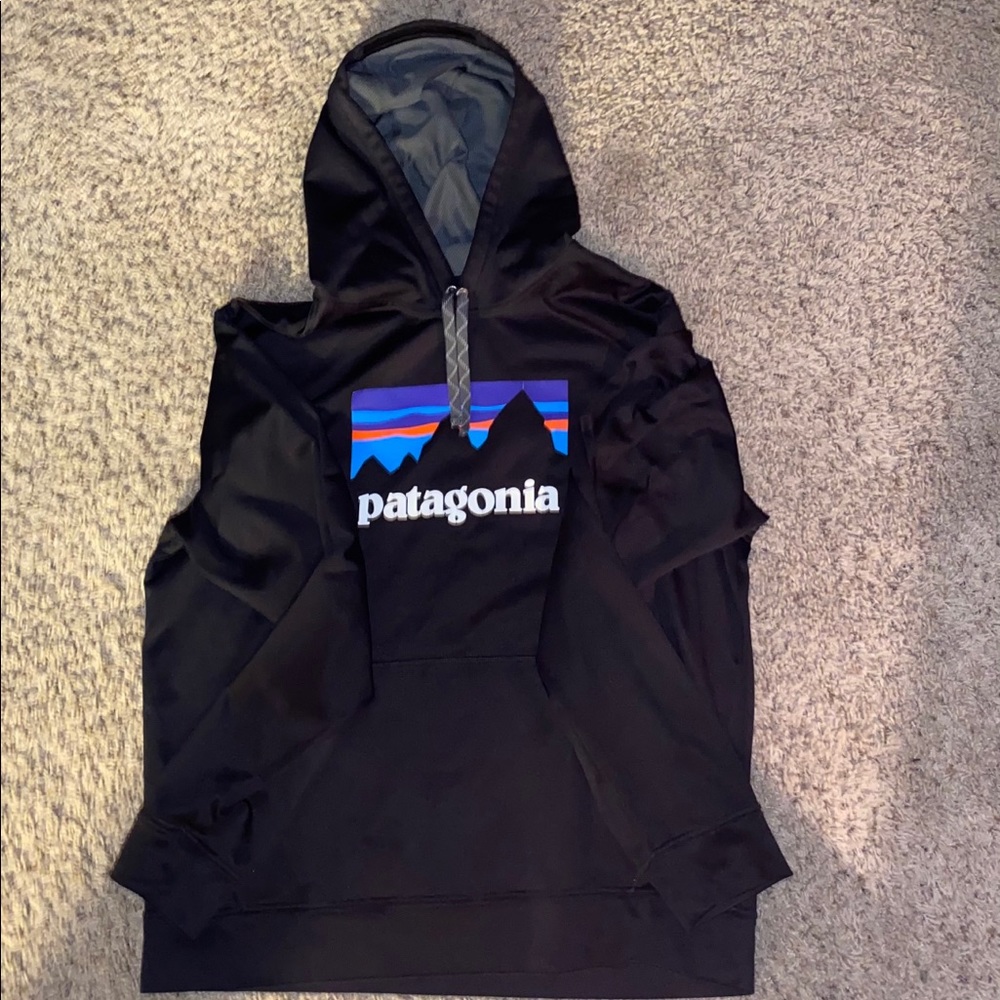 Patagonia Big Logo Performance Hoodie